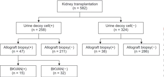 Figure 1. Patient algorithm and distri- distri-bution in this study. Kidney transplant  recipients were divided into two groups  according to the positive urine decoy  cells