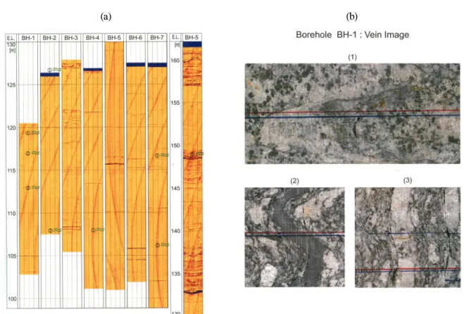 Fig.  11  Comparison  of  Televiewer  image(a)  with  Color-corescanner  image  including  vein  structure  (b)