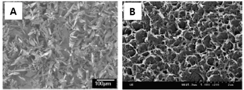 Figure 4. SEM micrographs of the coatings of brushite on magnesium (A)[14] and calcium phosphate on poly(methyl  methacrylate) (B)[15].