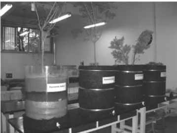 Figure 1. BCR (Basic Column Reactor).