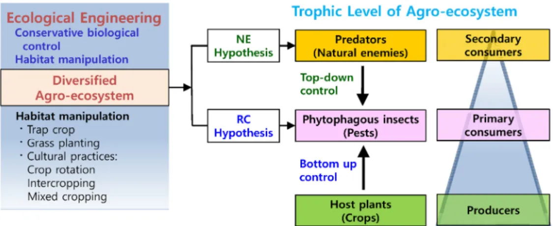 Fig. 1.  The concept of ecological engineering in agro-ecosystem that affects agricultural pests via NE (natural enemy) and RCH (Resource  concentration) hypothesis in relation to species diversity in trophic level of ecosystem.