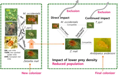 Fig. 5.  Predacious mite diversity and phytophagous mite control: Transitional change of predator species according to the abundance of  mite pests, and their exclusion