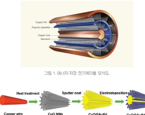 그림 1. 에너지-저장 전기케이블 모식도. 