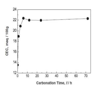 Figure 8.  탄산화 시간에 따른 폐콘크리트 시멘트 미분말  미세 구조 변화.