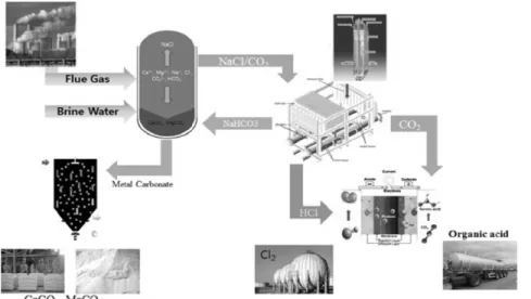 Figure 16. CO 2   활용 탄산칼슘 제조기술 공정도[17].