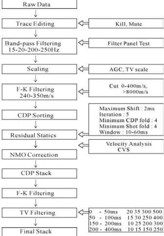 Fig.  2.  Processing  flowchart  used  for  data  processing.