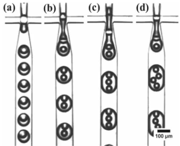 Figure 2. Bright field images of multiple emulsion generated in the  modified microfluidic device