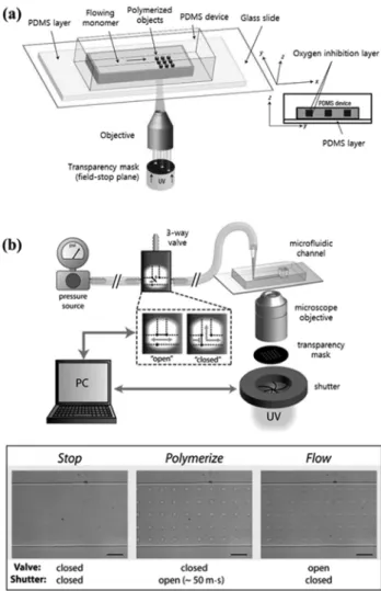 Figure 4. Flow lithography. (a) Experimental setup of continuous  flow lithography, (b) Overall process used for stop flow  lithography (SFL)[18,19].