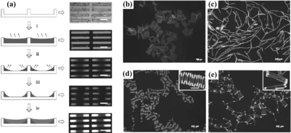 Figure 15. The synthesis of multicompartment particles using dy- dy-namic microfluidic system