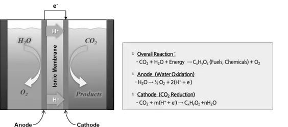 Figure 2.  CO 2   전환 전기화학 반응 시스템 및 전극 반응.