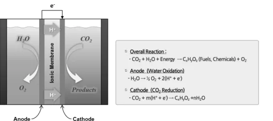 Figure 2.  CO 2   전환 전기화학 반응 시스템 및 전극 반응.