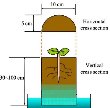 Figure 1. The pot shape and the way of absorbing  water 