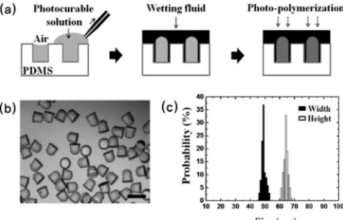 Figure 2. (a) Optical images of particles produced by several mold  having different aspect ratio