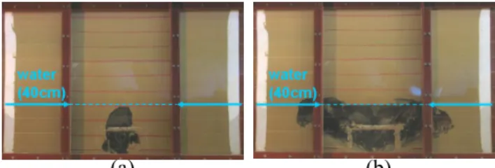 Figure 12. Process of cavity formation  (a: 16 minutes  after water table was raised to 40cm, b) 84 minutes  after water table was raised to 40cm