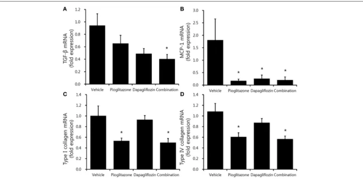 FIGURE 5 | Comparison of inflammatory and profibrotic gene expression in mouse renal cortex