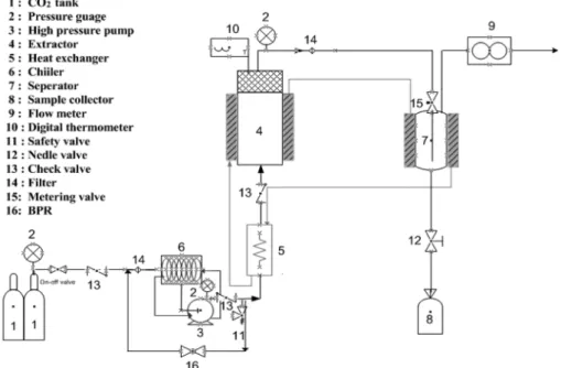 Figure 1. Schematic diagram of supercritical carbon dioxide extraction apparatus.
