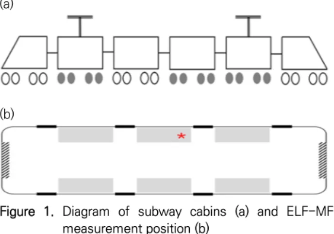 Figure  1.  Diagram  of  subway  cabins  (a)  and  ELF-MF  measurement position (b) 간격으로  측정하였다