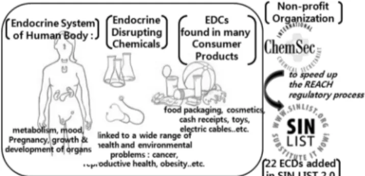 Figure 4. Quick overview of what endocrine disrupting chemicals  and the SIN list of ChemSec are[41].