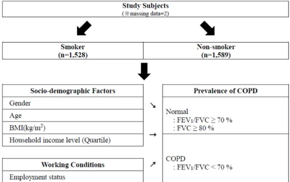 Figure 1. Method scheme of analyzing the relationship between employment status and the prevalence of COPD after stratifying  subjects according to smoking experience