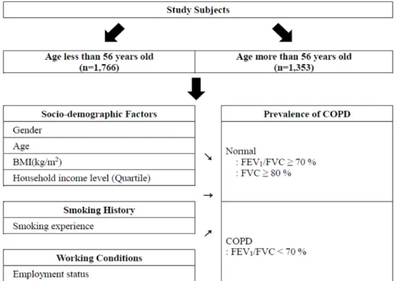 Figure 2. Method scheme of analyzing the relationship between employment status and the prevalence of COPD after stratifying  subjects according to age group