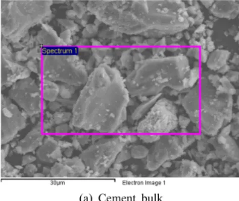 Figure 1. Shape of bulk sample analyzed by UHR-FE-SEM