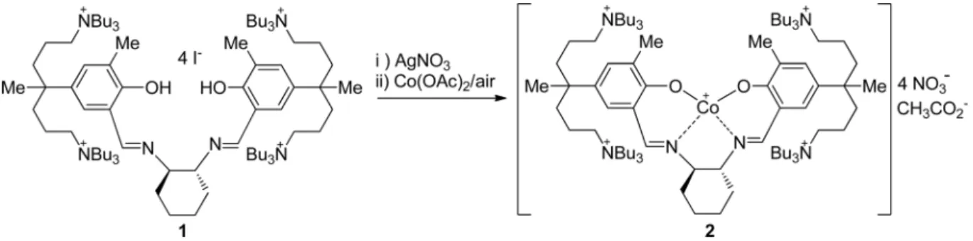 Figure 1. Structure of highly active catalyst for CO 2 /PO copolymerization[13].