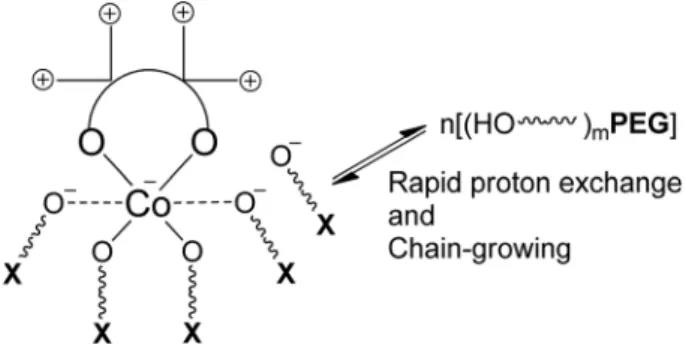 Figure 2. Chain growing process in the feeding of PEG-OH. 추가로 투입하면 고분자 사슬은 촉매 2가 포함하는 4개의 나 이트레이트 음이온 및 1개의 아세테이트 음이온으로부터 성 장할 뿐 아니라 첨가한 -OH  또는 -COOH로부터도 동일한 속 도로  성장한다