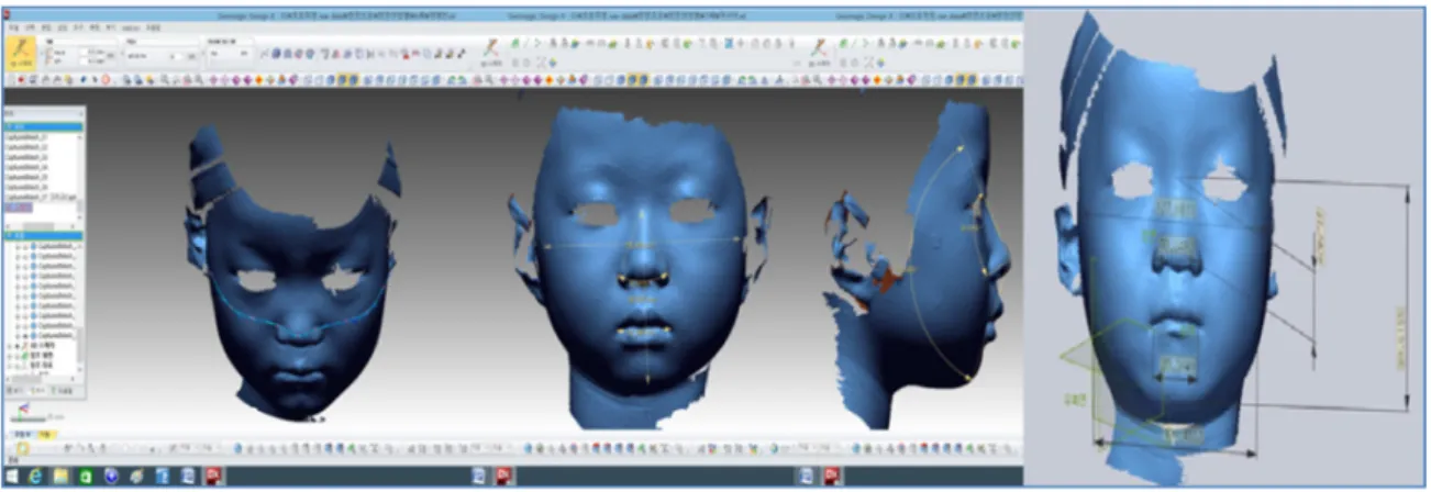 Fig 4. Extraction of 3D Anthropometry Data using the Software 