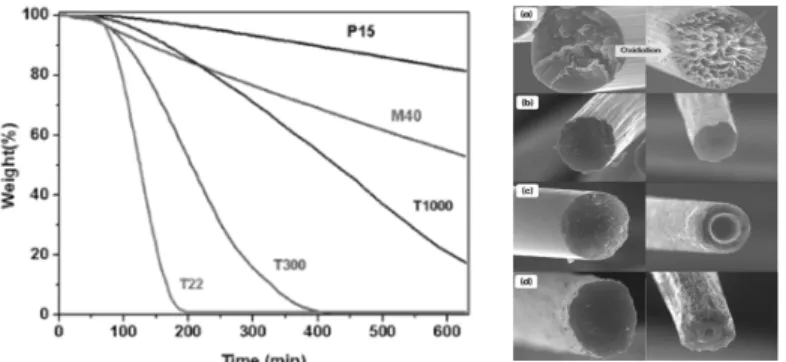 Figure 5.  580 ℃ 공기 중 노출 시 탄소섬유의 중량감소(TGA)  및 산화가 일어난 탄소섬유의 SEM  사진(P15:  핏치계, M40 : PAN계, T1000/T300: PAN계 탄소섬유).
