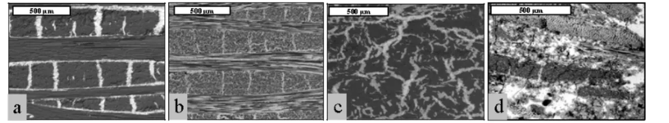 Figure 7.  MI/LSI 공정으로 제조된 여러종류의 세라믹복합재의 미세구조. C/C-SiC 는 구조적 역할을 할 수 있는 높은 섬유함 유율(∼65 vol%)을 갖는다