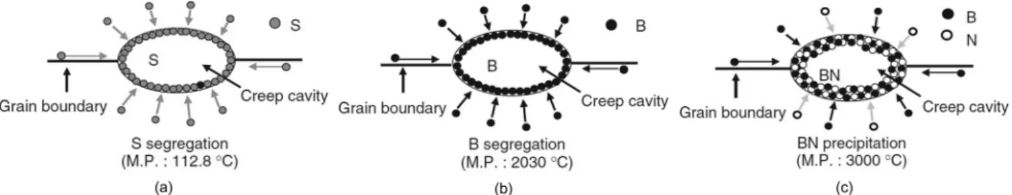 Figure 1. Illustration of self-healing layer formation of B segregation and BN precipitation on creep cavity surface
