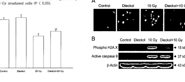 Figure 4. Effect of diecko] upon the y-ray radiution-induced ccllular damage of V79-4 cells