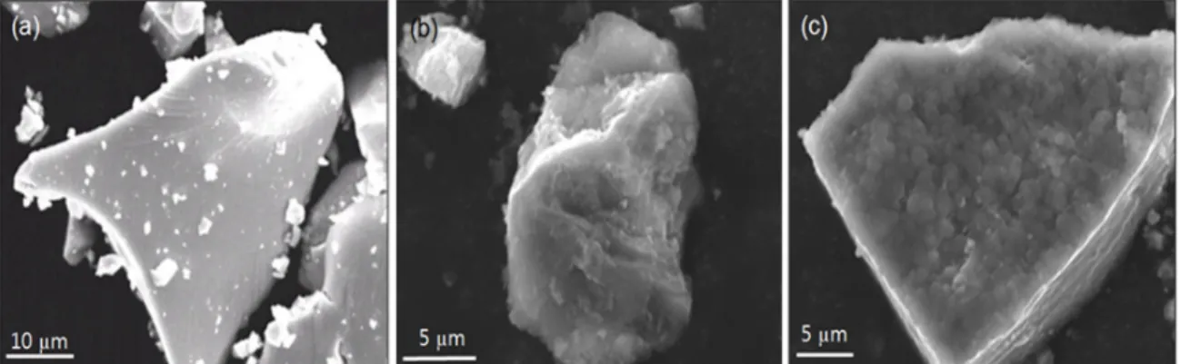 Figure 1. Scanning electron microscopy images of powder by-products collected from process equipment: (a) MTC01, (b) MTC02, and (c)  MTC03 