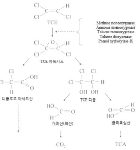 Figure 4.  전형적인 석유계탄화수소와 그 호기적 분해경로.  (a)  지방족, (b) 지환족, (c) 방향족. Figure 5.  공대사에 의한 TCE  호기적 분해경로