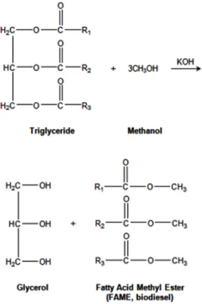 Figure 1. The reaction formula of biodiesel