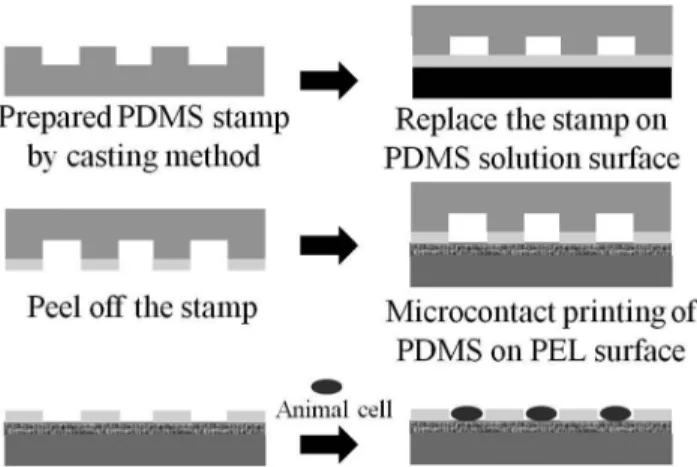 Figure 1. Schematic diagram of cell patterning.