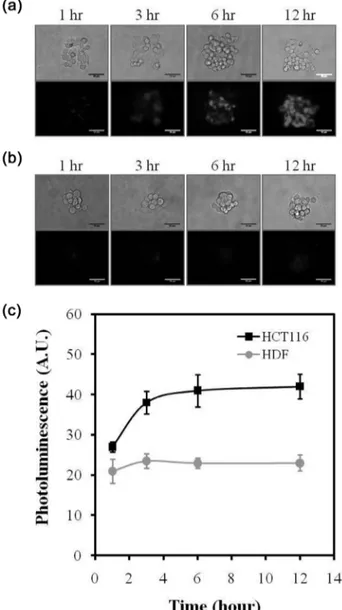Figure 4. The effect of incubation time of SBA-QDs binding on  fluorescence profile. Optical and fluorecence images of  SBA-QDs with HCT116 (a) and HDF (b)