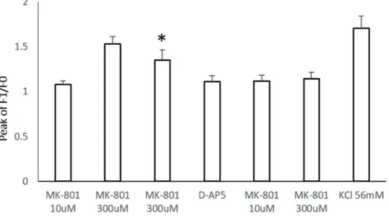 Figure 3. Effect of D-AP5 on the MK-801-induced calcium response in astrocytes. Astrocytes which were loaded with 3