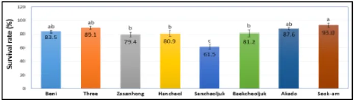 Figure 1. The survival rate of azalea cultivars for landscape in Suncheon 2. 신초수 신초수는 석암, 한철이 평균 34.8~35개로 가장 많았고, 베니, 쓰리, 백철쭉이 24.1~27.3개로 석암, 한철에 비해 유의적으로 낮 았다
