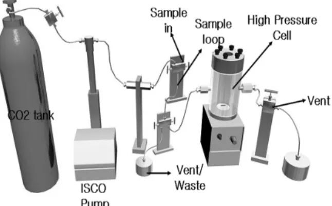 Figure 1. Reaction system for the silylation in scCO 2 .