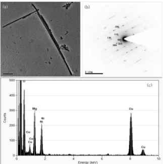 Figure 2. (a) Image, (b) selected area electron diffraction pattern with  diagnostic features labelled, and (c) energy dispersive X-ray  spectrometer spectrum.