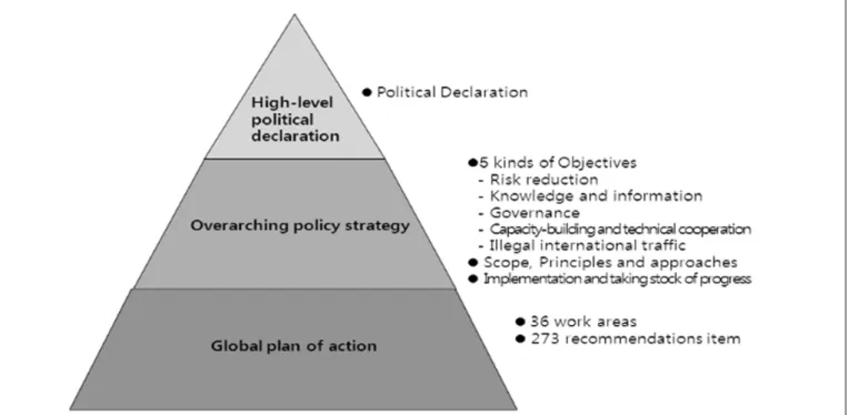 Figure 1. The structure and content of SAICM.