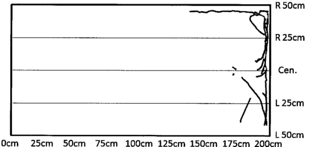 Fig. 4. The tracks of fish swimming in flow distribution areas of not set up pot under no  flow condition
