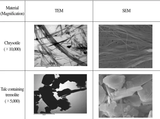 Figure 1. TEM and SEM image of chrysotile and talc containing tremolite. 