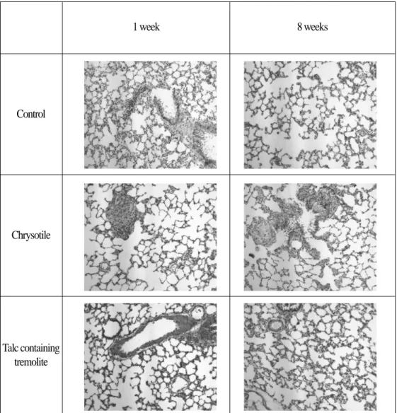 Table 3. Right lung weight of SD male rats of 8 weeks after instillation. 