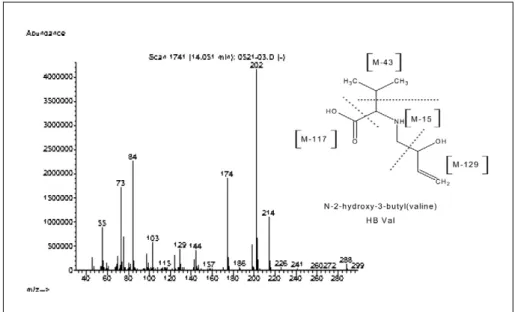 Figure 3. Spectra of N-2-hydroxy-3-butyl(Valine) by using GC/MS