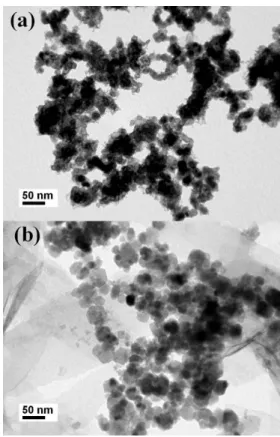 Figure 1. TEM images of ion nanoparticles prepared by  microemulsion method(a) and aqueous solution  method(b).