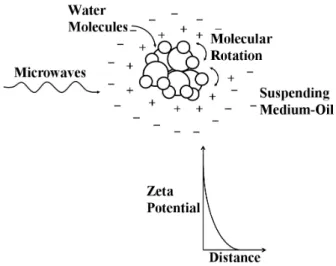 Figure 2. Electrostatic field separation technology[23]. Figure 3. Principle of microwave heating separation[27].