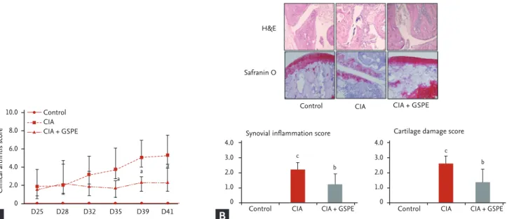 Figure 1. Grape seed proanthocyanidin extract (GSPE) treatment relieves the severity of collagen-induced arthritis (CIA) in  mice (n = 8 for each group; control, CIA, GSPE-treated CIA group)
