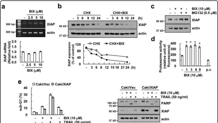 Fig. 2 BIX-01294 induces downregulation of XIAP expression at the post-translational level